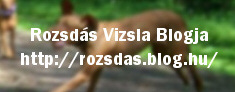 A leghíresebb vizsla: Rozsdás blogjának története