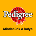 Az Ön kutyájának egészségesek a fogai?