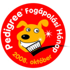 Az Ön kutyájának egészségesek a fogai?
