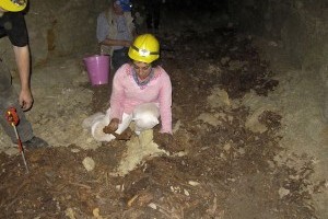 Több millió kutyamúmiát találtak az egyiptomi labirintusokban