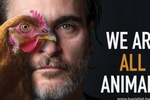 Joaquin Phoenix Oscar-díjat nyert, majd beszédet mondott az állatok jogaiért