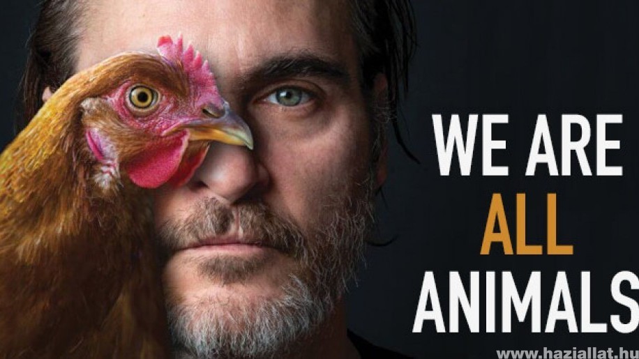 Joaquin Phoenix Oscar-díjat nyert, majd beszédet mondott az állatok jogaiért