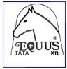 equus_logo