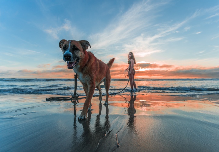 woman-wearing-bikini-walking-on-beach-shore-with-adult-brown-1143369_01