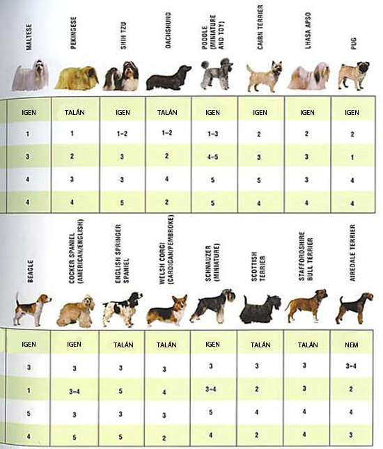 Рейтинг собак 2023. Популярность пород собак. Породы собак в таблице. Таблица самых популярных собак. Статистика популярных пород собак.