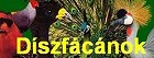 diszfacanok