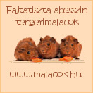 tengerimalacok