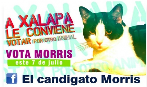 xalapa_morris