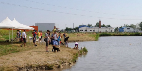 kutyastrand_szeged2