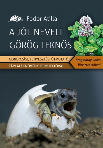 gorokteki_konyv