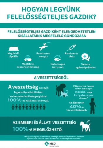 veszettseg_infografika