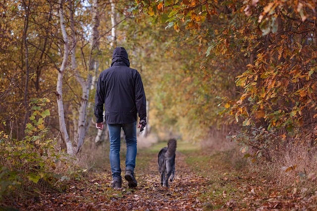 A séták után ellenőrizzük a kutyus bundáját, talpát, fülét A séták után ellenőrizzük a kutyus bundáját, talpát, fülét