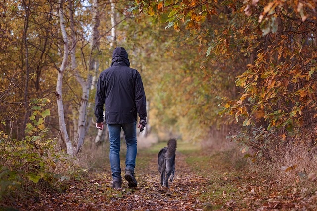 A séták után ellenőrizzük a kutyus bundáját, talpát, fülét