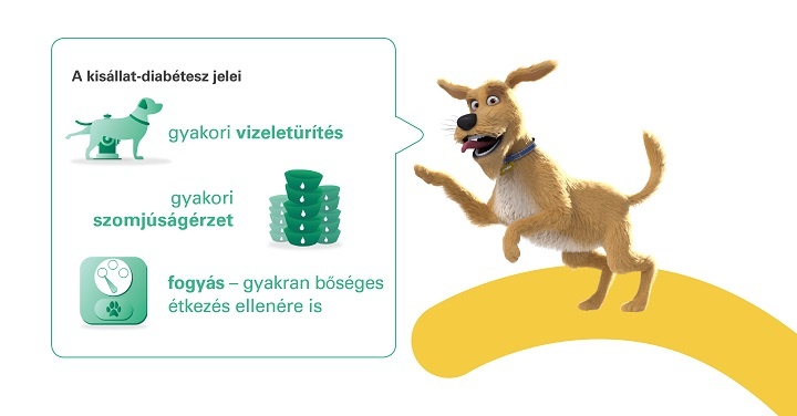 a_kisllat-diabtesz_jelei a_kisllat-diabtesz_jelei