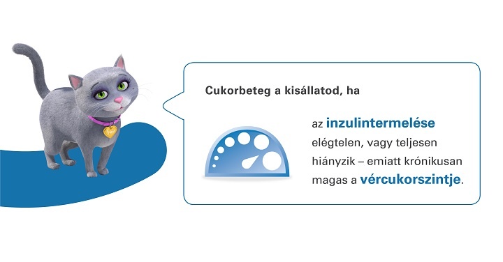 cukorbeteg_a_kisllatod_ha...