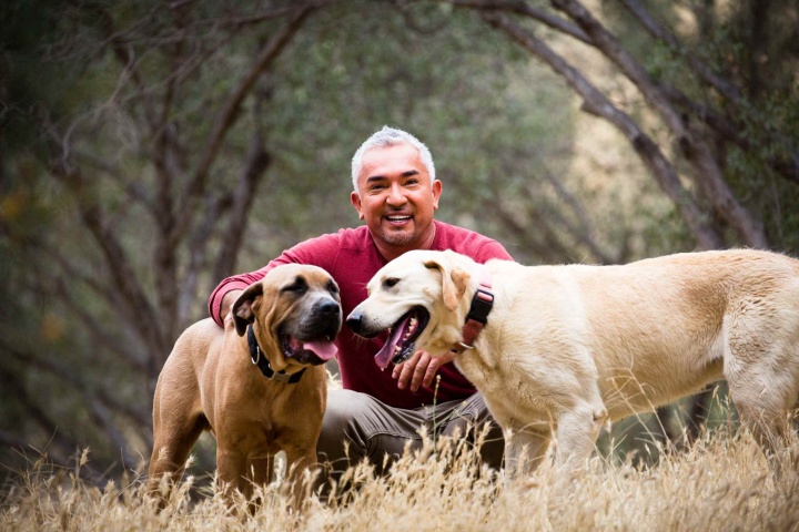 cesarmillan2019_4