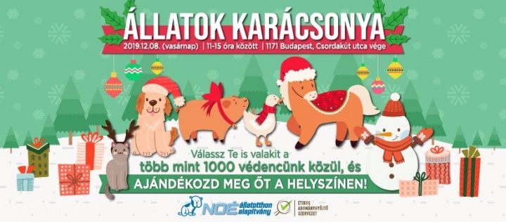allatok_katija allatok_katija