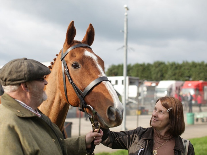 0_sjp_ech_080415_01horse21015jpg 0_sjp_ech_080415_01horse21015jpg