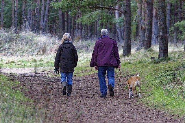 dog-walking-1070076_640 dog-walking-1070076_640