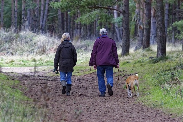 dog-walking-1070076_640