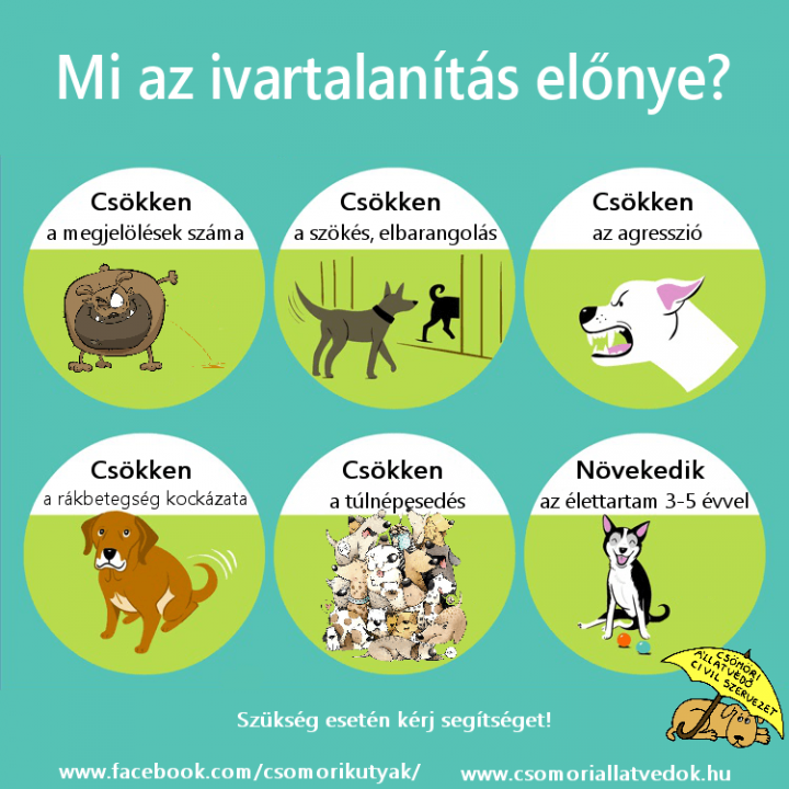 ivartalanits-elnye-plakt_2019 ivartalanits-elnye-plakt_2019