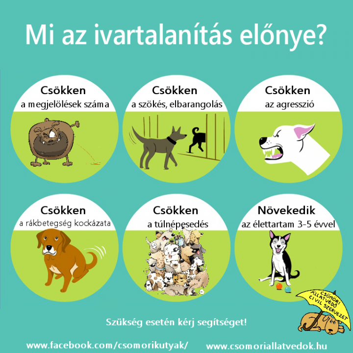 Ivartalanítás ára Székesfehérvár