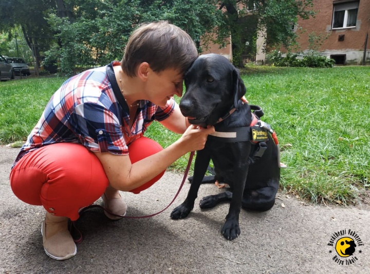 a vakvezetokutya és gazdája között szoros a kapcsolat