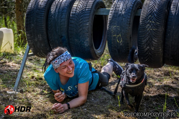 hard dog race, kutya, akadálypálya, futás, sport