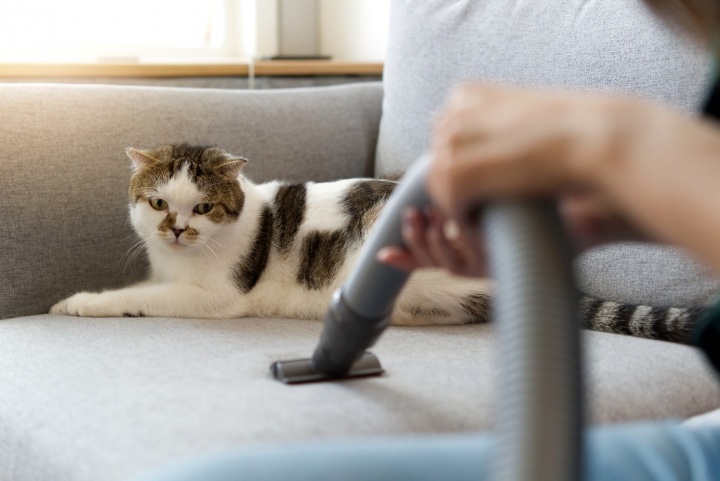 Egy olyan porszívó, ami az állatszőrt is képes eltávolítani a bútorokról, aranyat ér! macskaszőr, kutyaszőr, takarítás, porszívó