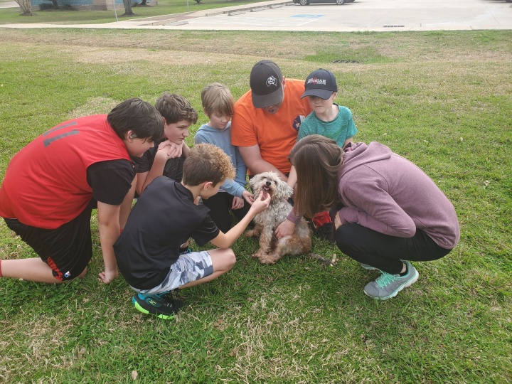 Maddie nagy hazatérése Fotó: The Forgotten Pet Advocates/Facebook