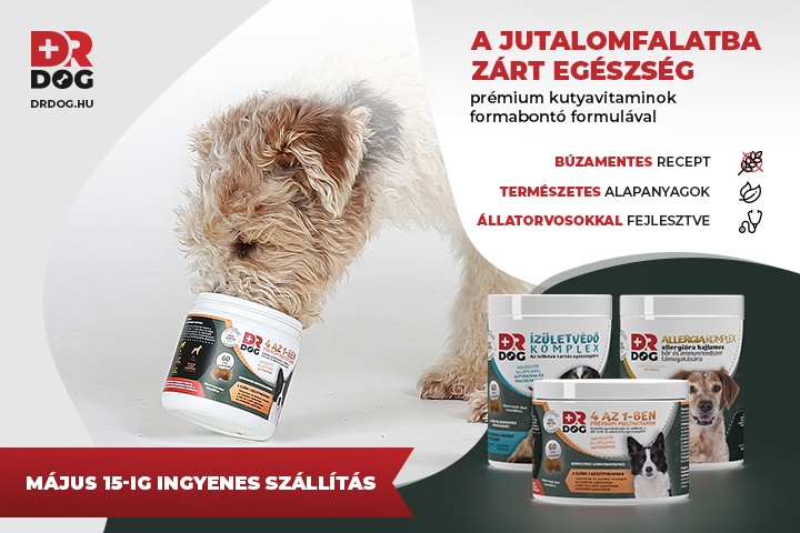 A nem megfelelő jutalomfalat gyulladást is okozhat a kutyád szervezetében jutalomfalat, kutya