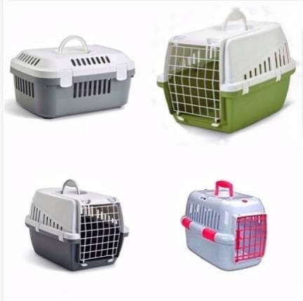 kennel kennel