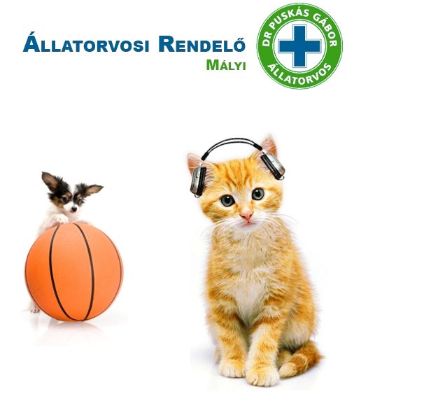 dr. Puskás Gábor Mályi Állatorvosi Rendelő