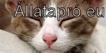 allatapro