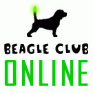 beagle_club_online