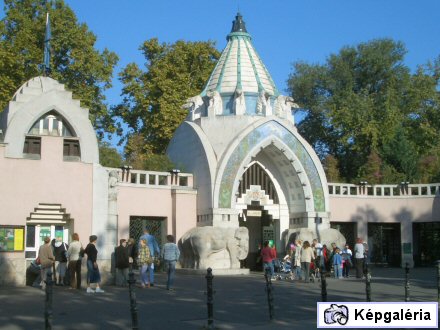 Budapest Zoo: ha régen jártál állatkertben, nézd meg a friss fotókat!