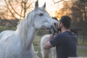 Hogyan ápoljuk lovunk patáját?