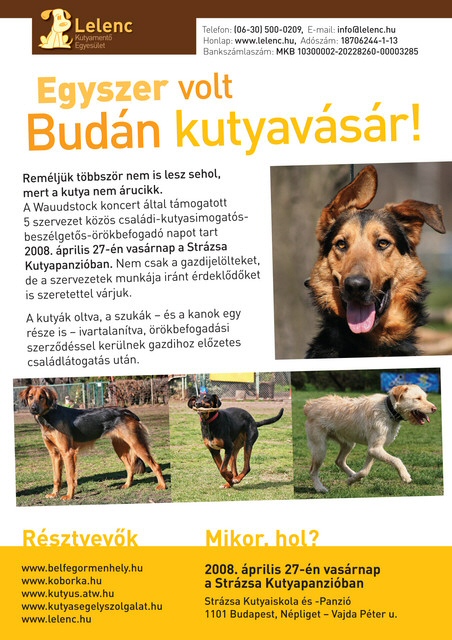 Egyszer volt Budán kutyavásár - Örökbefogadó Nap