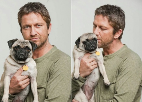 gerard_butler_mopsz