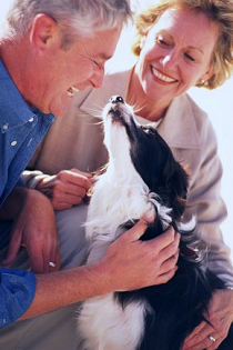 MIRE JÓ EGY FALATNYI DOGTOR RX TABLETTA?