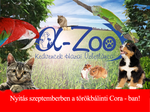 Áruház kedvenceinknek