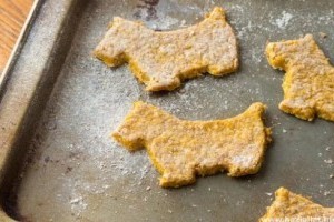 A legtutibb kutyakeksz recept - süsd meg te is!