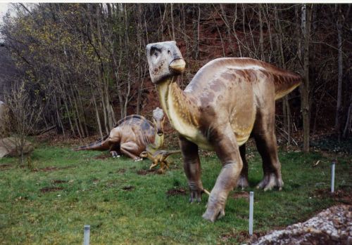 Kik azok a Dinoszauruszok? - Repülő hüllők