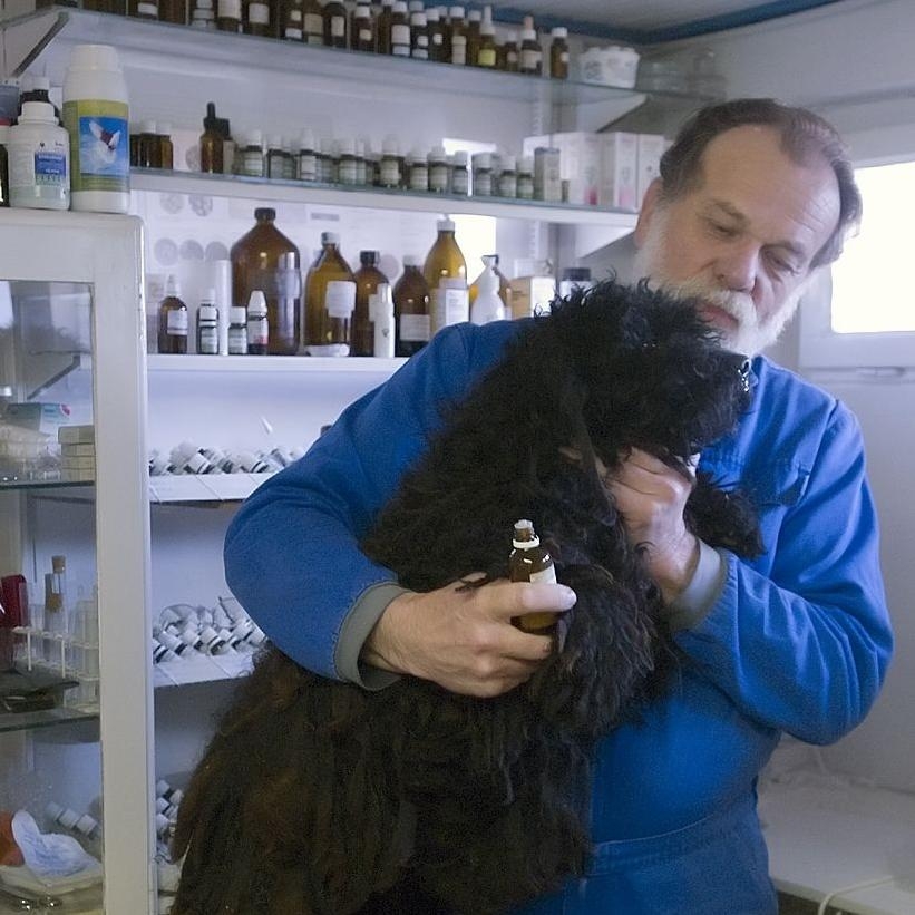 Bemutatkozik Dr. Mátray Árpád homeopata állatorvos