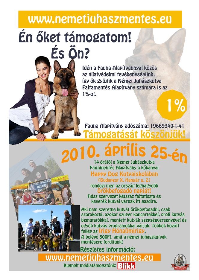 Kutyát szeretnél? Fogadj örökbe!