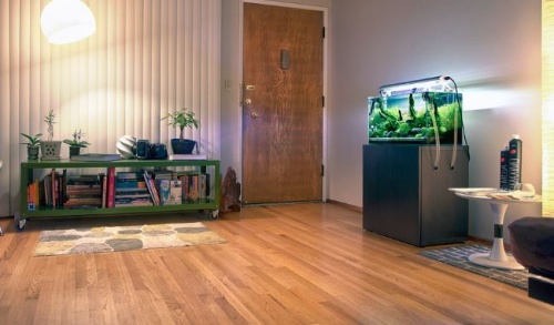 akvarium