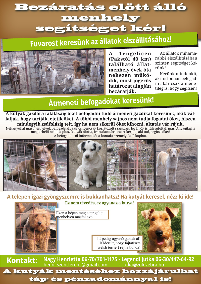 S.O.S - A tengelici állatmenhely kutyái