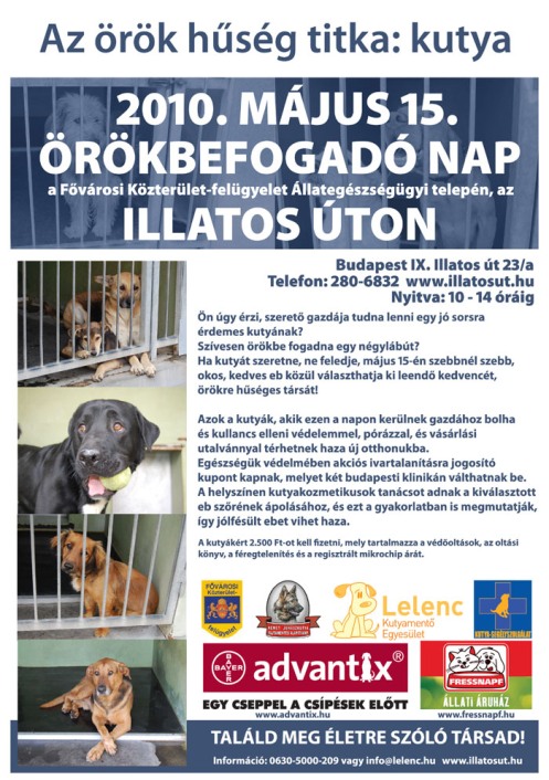 Örökbefogadó nap az Illatos úton - 2010. május 15.