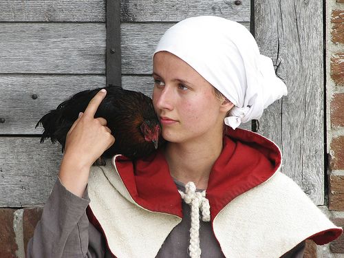 Mentsük meg a kihalófélben lévő tyúkfajtákat !