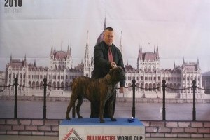 A Bull Masztiff World Cup 2010 nyertesei!